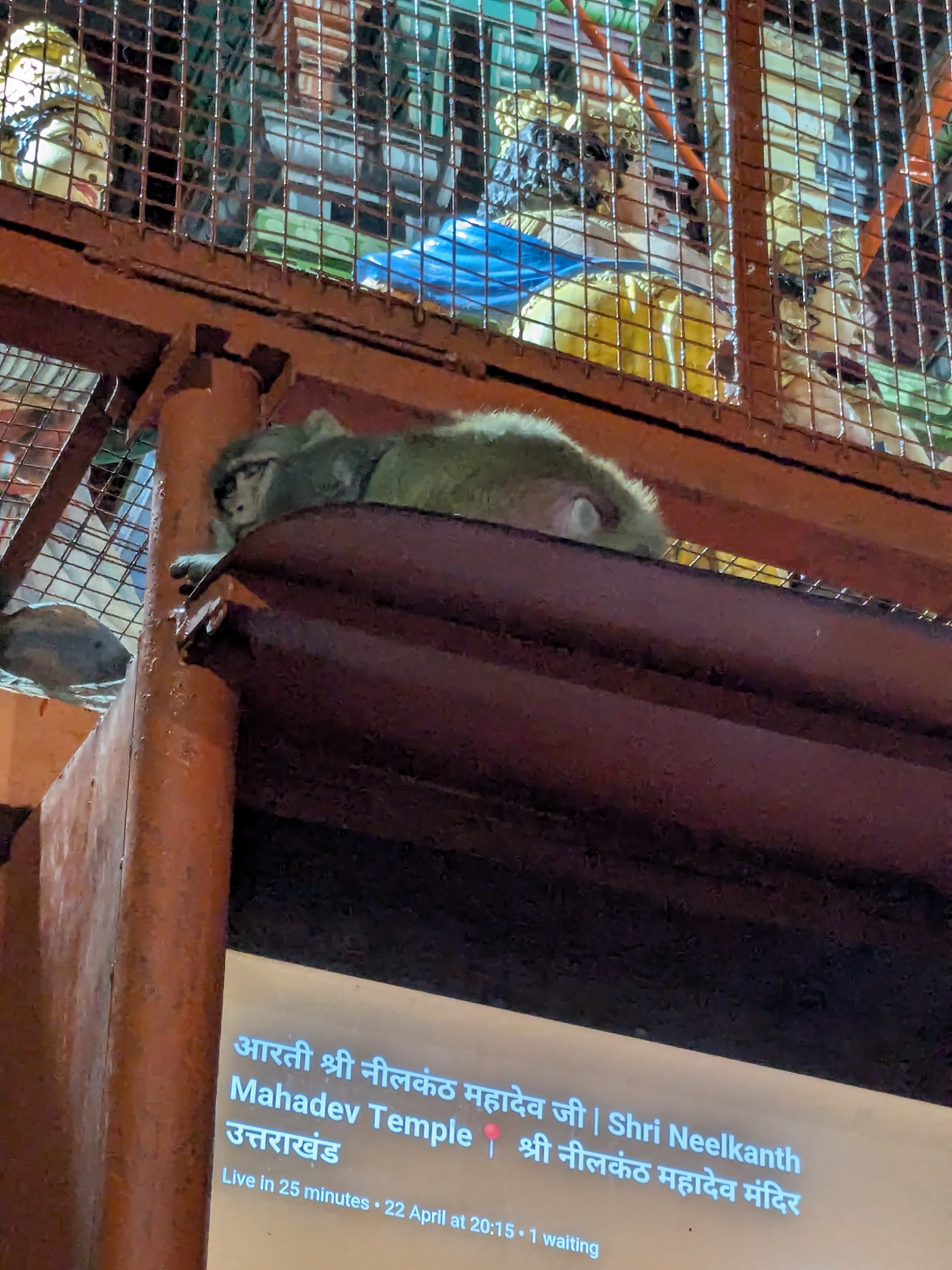 Fast Asleep